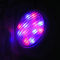 Luz colorida de cristal de la piscina de la nadada 72W del bulbo RGBW