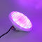 Bulbo ahorro de energía del color 48W LED PAR56 de RGBW